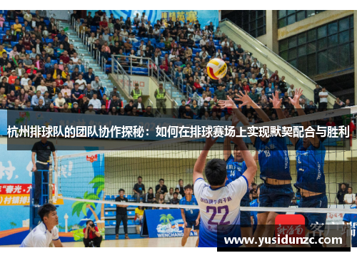 杭州排球队的团队协作探秘：如何在排球赛场上实现默契配合与胜利