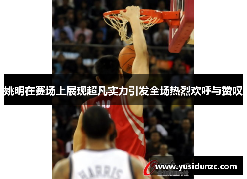 姚明在赛场上展现超凡实力引发全场热烈欢呼与赞叹