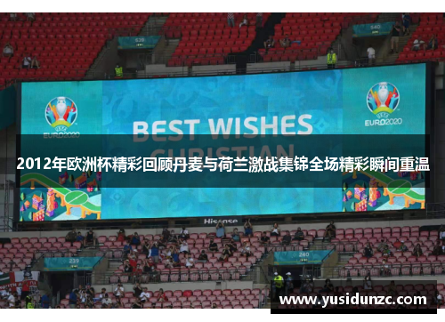 2012年欧洲杯精彩回顾丹麦与荷兰激战集锦全场精彩瞬间重温