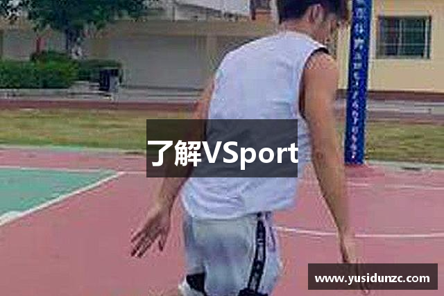 了解VSport